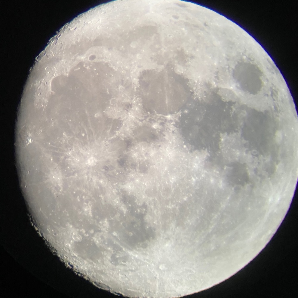 Meet your Posher, Feras